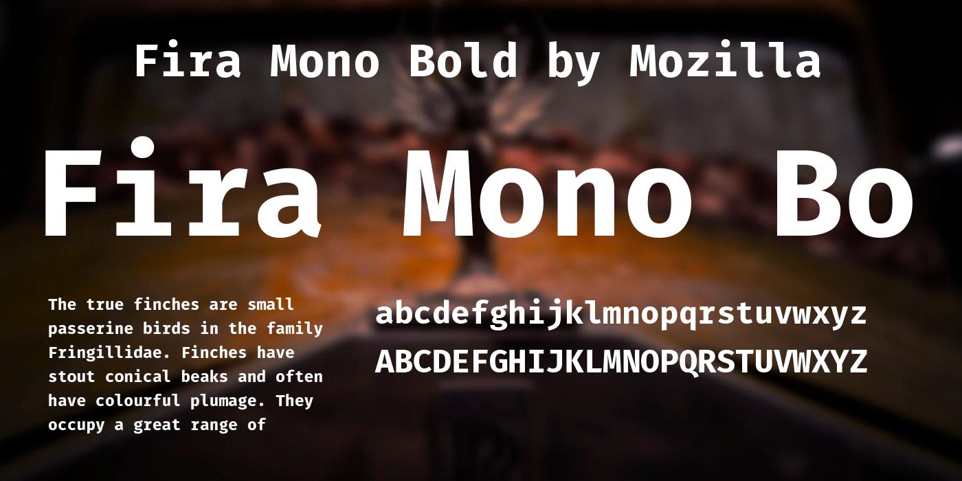 Beispiel einer Fira Mono-Schriftart #2
