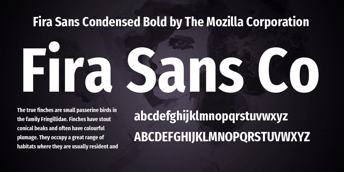 Beispiel einer Fira Sans Condensed-Schriftart #2