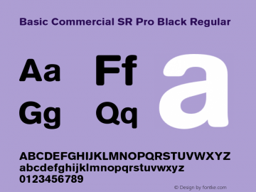 Beispiel einer Basic Commercial Soft Rounded Pro-Schriftart #2