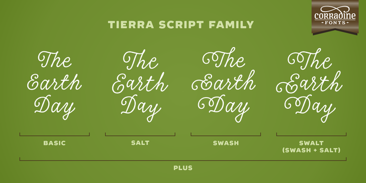 Beispiel einer Tierra Script-Schriftart #2
