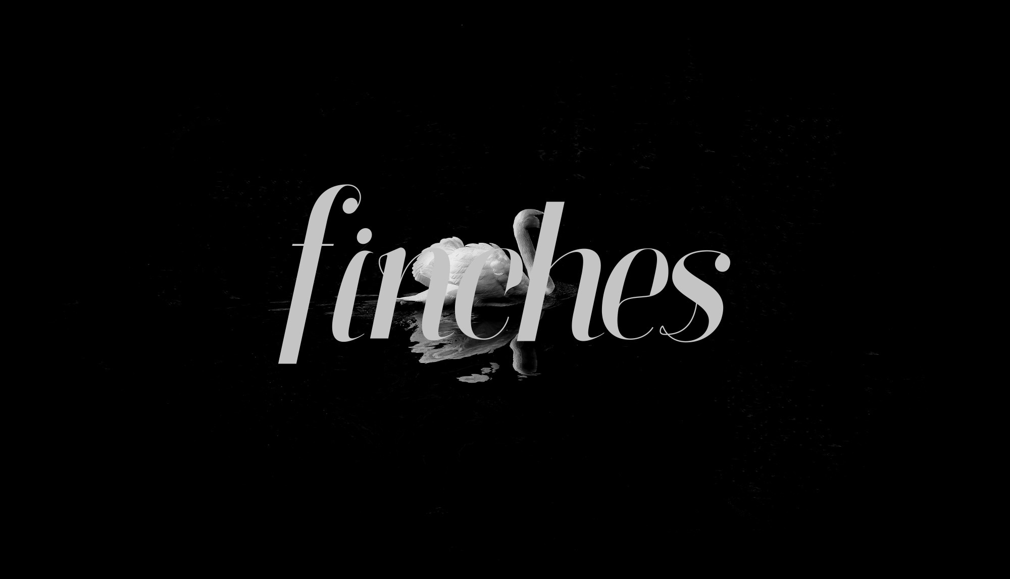 Schriftart Finches
