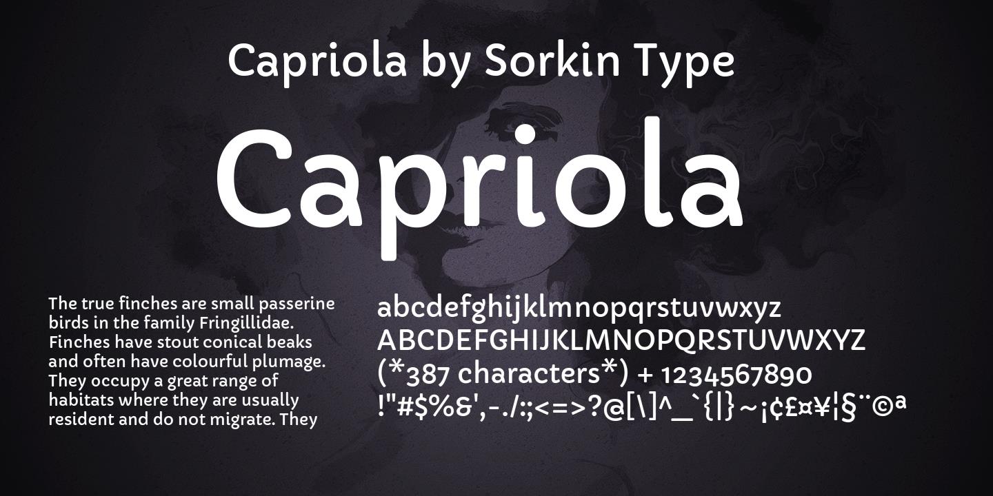 Beispiel einer Capriola-Schriftart #1