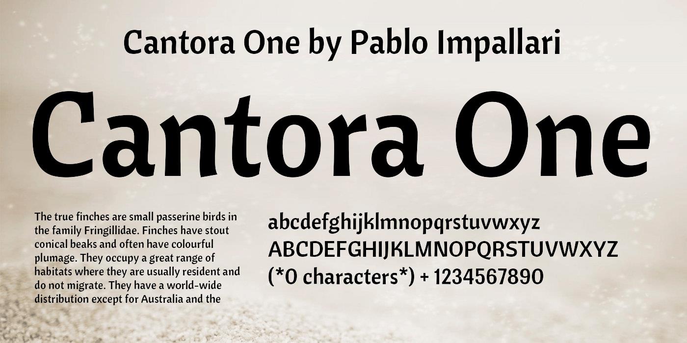 Beispiel einer Cantora One-Schriftart #1
