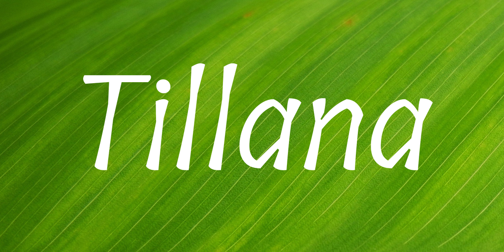 Beispiel einer Tillana-Schriftart #1