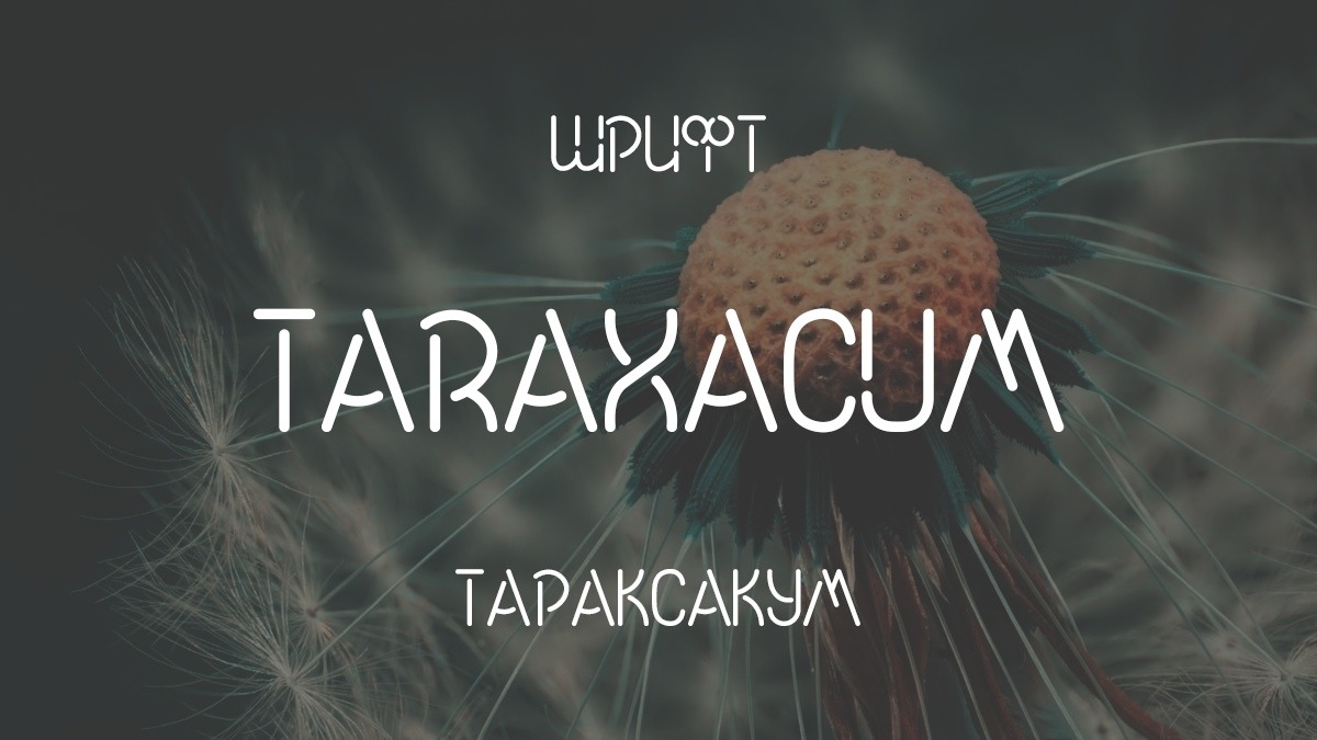 Beispiel einer Taraxacum-Schriftart #1