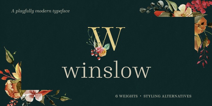 Beispiel einer Winslow Book-Schriftart #1