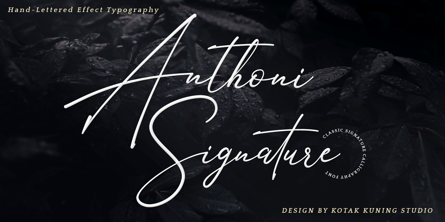 Beispiel einer Anthoni Signature-Schriftart #1