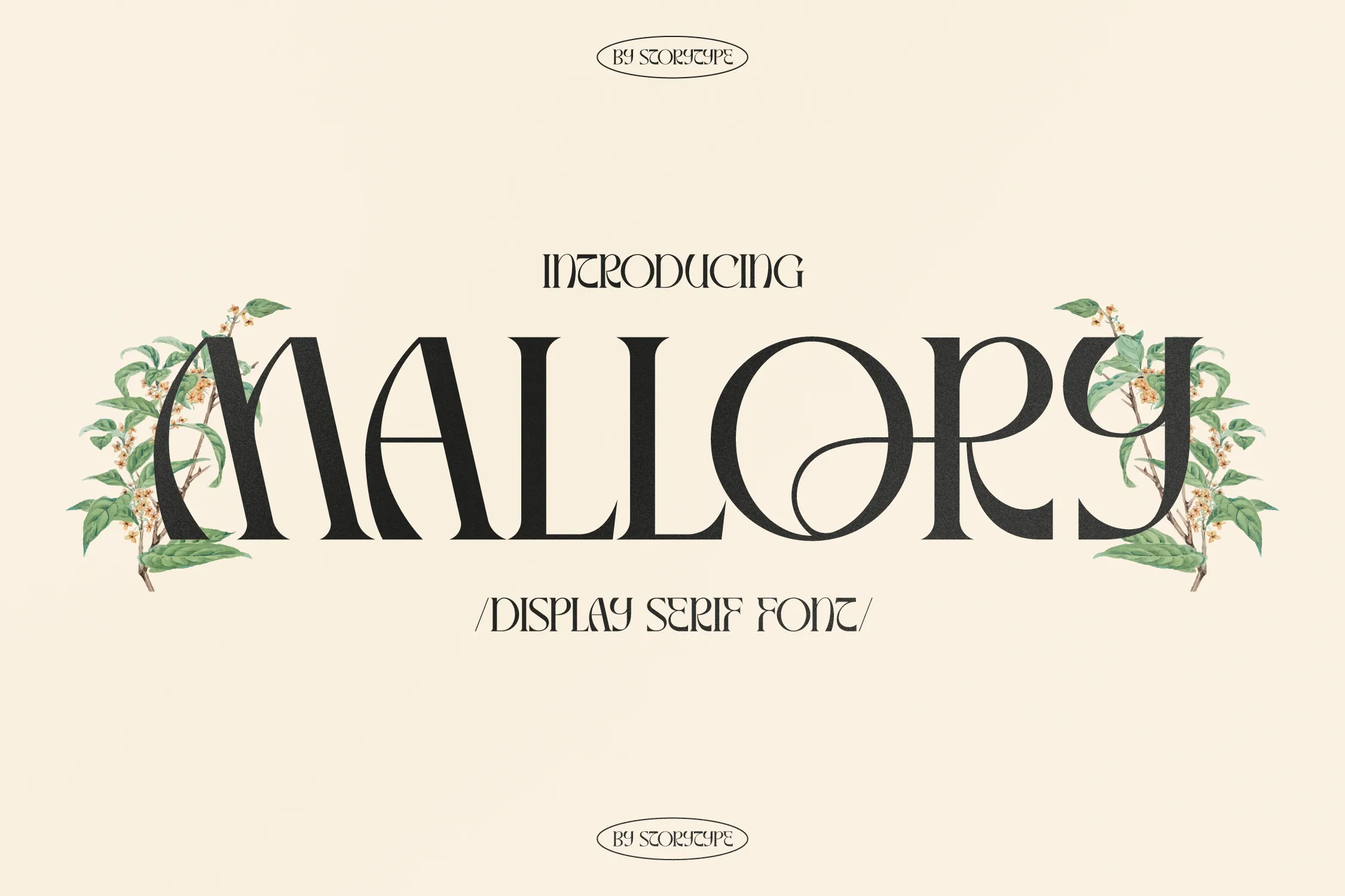 Beispiel einer Mallory Display Serif-Schriftart #1