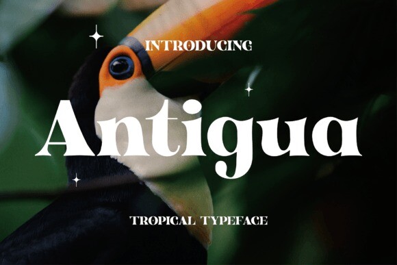 Schriftart Antigua