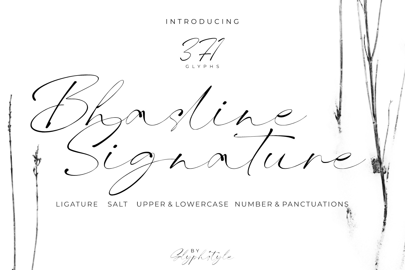 Beispiel einer Bhasline Signature-Schriftart #1