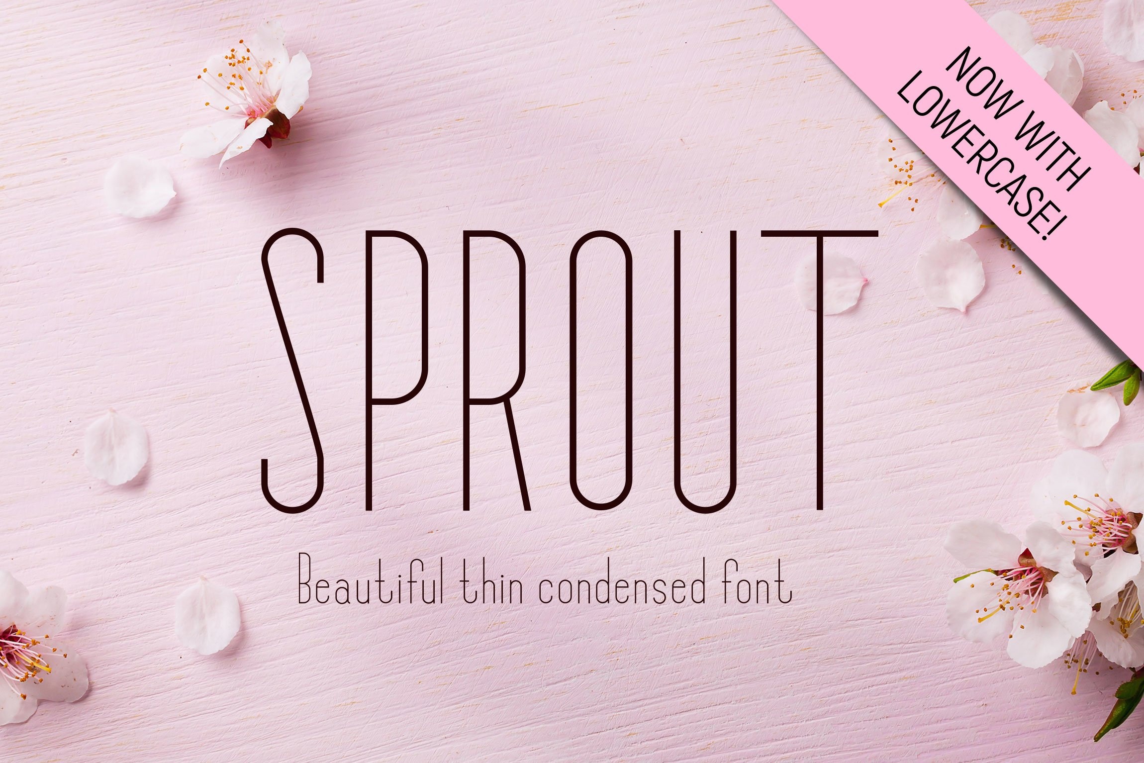 Beispiel einer Sprout-Schriftart #1